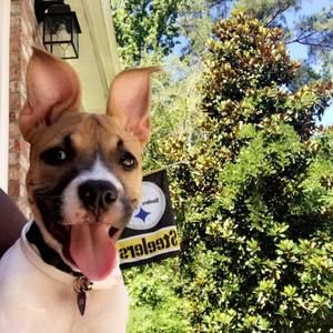 Meet your Posher, Anissa